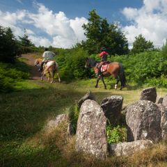 Camping Municipal de Paimpont Broceliande - Camping Ille-et-Vilaine
