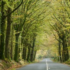 Camping Municipal de Paimpont Broceliande - Camping Ille-et-Vilaine