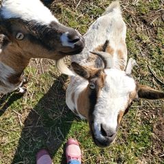 Camping le Tromeur - Camping Finistere