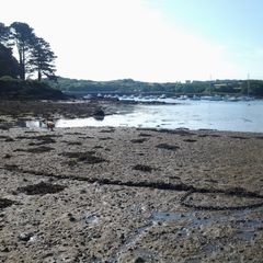 Camping le Tromeur - Camping Finistere