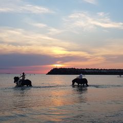 Camping Le Grand Hameau - Camping Seine-Maritime