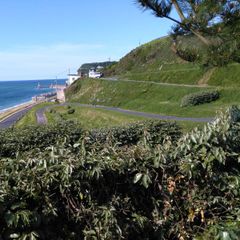 Camping Bel Air Village de Reneville - Camping Seine-Maritime