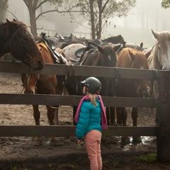 Camping Bel Air Village de Reneville - Camping Seine-Maritime