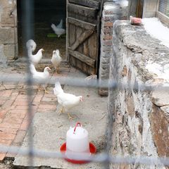 Camping Le Petit Moulin - Camping Allier