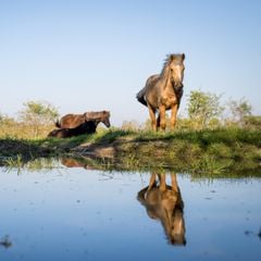 Le Domaine de La Barre - La Ferme St Michel - Camping Deux-Sevres