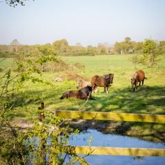 Le Domaine de La Barre - La Ferme St Michel - Camping Deux-Sevres
