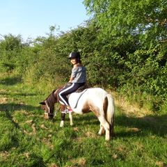 Le Domaine de La Barre - La Ferme St Michel - Camping Deux-Sevres