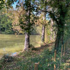 Camping Le Faucon d'Or - Camping Tarn-et-Garonne