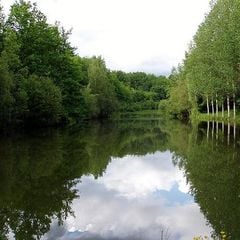 Camping Le Faucon d'Or - Camping Tarn-et-Garonne