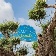 Camping L'Orangeraie - Camping Paradis - Camping Castellón