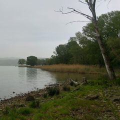 Campeggio Villaggio Cerquestra  - Camping Pérouse