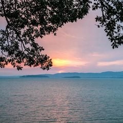 Campeggio Villaggio Cerquestra  - Camping Pérouse