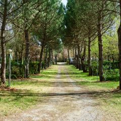Camping La Chiocciola - Camping Pise
