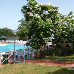 Camping La Chiocciola - Camping Pise