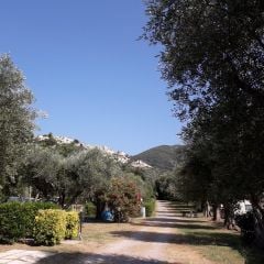 Camping Il Fontino - Camping Grosseto