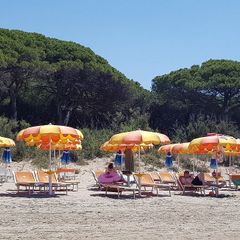 Camping Il Fontino - Camping Grosseto