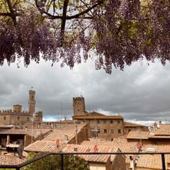 Campo dei Fiori Camping & Bungalows - Camping Livourne