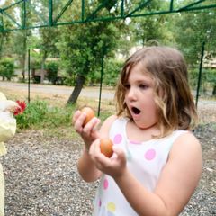 Campo dei Fiori Camping & Bungalows - Camping Livourne