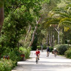 Campo dei Fiori Camping & Bungalows - Camping Livourne