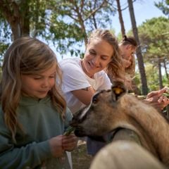 Campo dei Fiori Camping & Bungalows - Camping Livourne