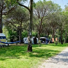 Campo dei Fiori Camping & Bungalows - Camping Livourne