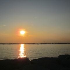 Camping Miramare Village - Camping Livourne