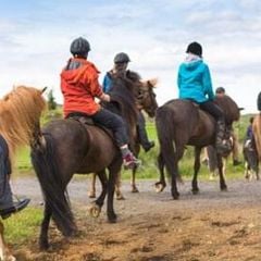 Camping Miramare Village - Camping Livourne