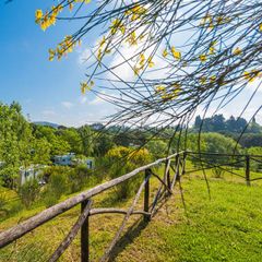Camping Village Il Poggetto - Camping Florence