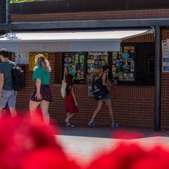 Camping Village Il Poggetto - Camping Florence