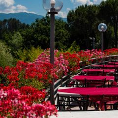 Camping Village Il Poggetto - Camping Florence