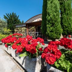 Camping Village Il Poggetto - Camping Florence