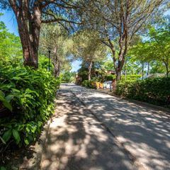 Camping Village Il Poggetto - Camping Florence