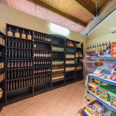 Camping Village Il Poggetto - Camping Florence