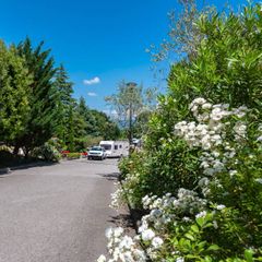 Camping Village Il Poggetto - Camping Florence