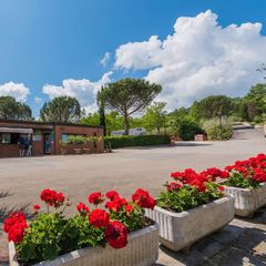 Camping Village Il Poggetto - Camping Florence