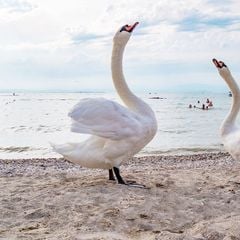 Camping Lido - Camping Vérone