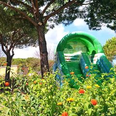 Camping Lacona Pineta - Camping Livourne