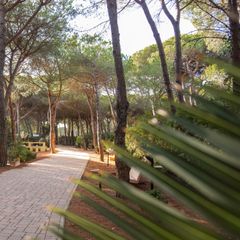 Camping Village Il Sole - Camping Grosseto