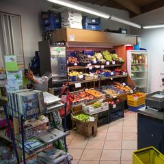 Camping Village Il Sole - Camping Grosseto