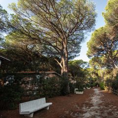 Camping Village Il Sole - Camping Grosseto