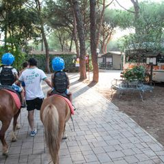 Camping Village Il Sole - Camping Grosseto