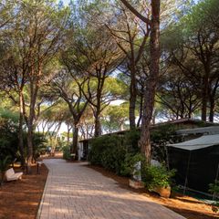 Camping Village Il Sole - Camping Grosseto