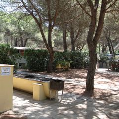 Camping Village Il Sole - Camping Grosseto