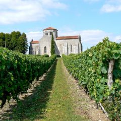 Résidence Les Coteaux de Jonzac - Camping Charente-Maritime
