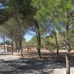 Camping Bolaso - Camping Saragosse