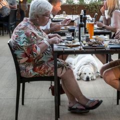 hu Firenze Camping in Town - Camping Florence