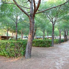 Camping Village Casa dei Prati - Camping La Spezia