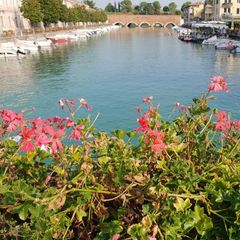 Camping del Garda - Camping Vérone