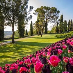 Camping del Garda - Camping Vérone