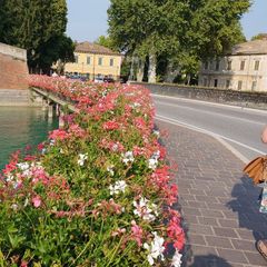 Camping del Garda - Camping Vérone